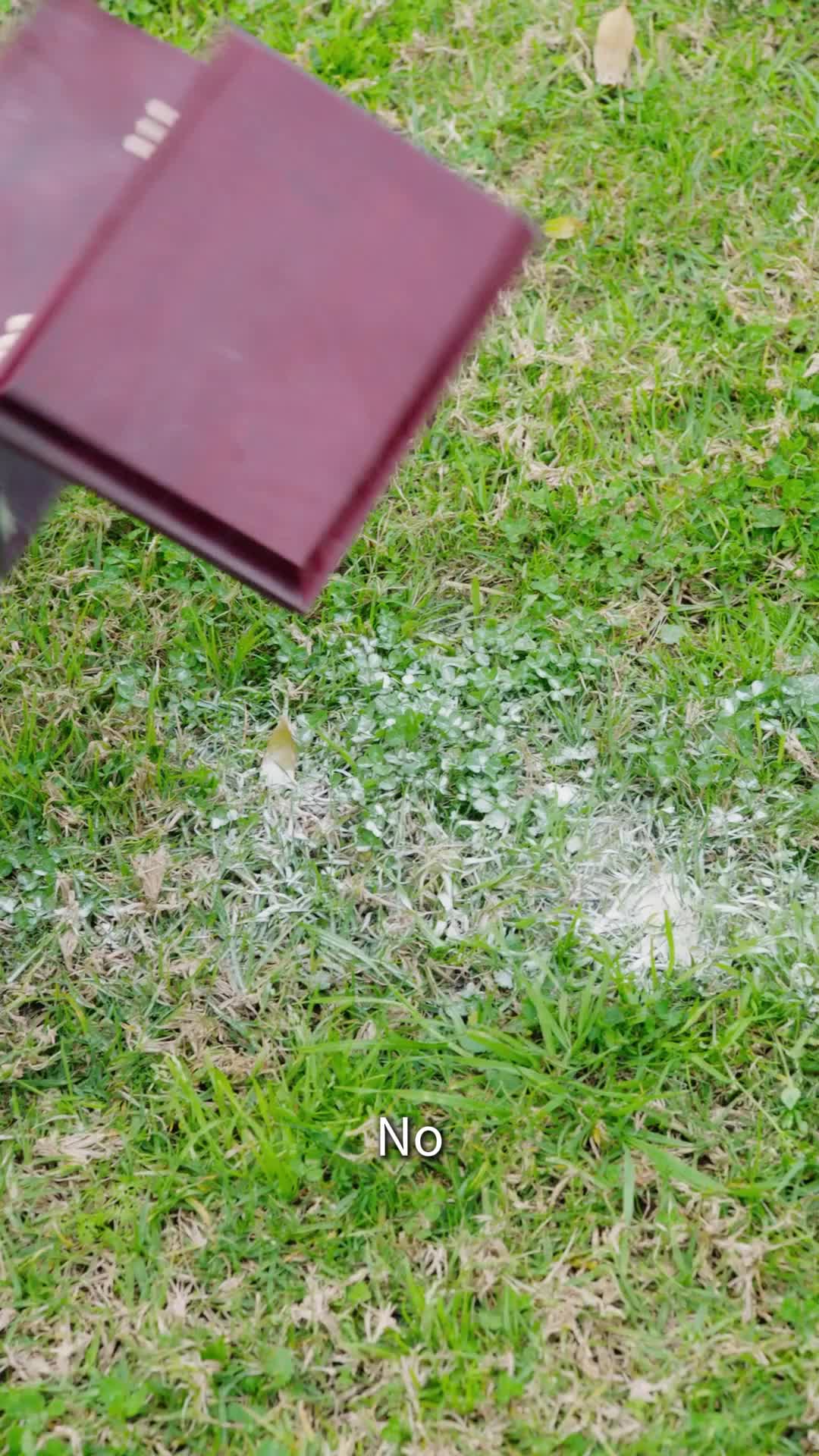 Episode 19 - My Husband Is An American Hero